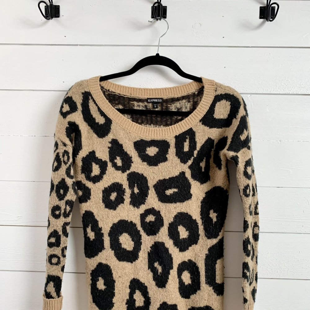 Express Cheetah Long Sleeve wool Sweater